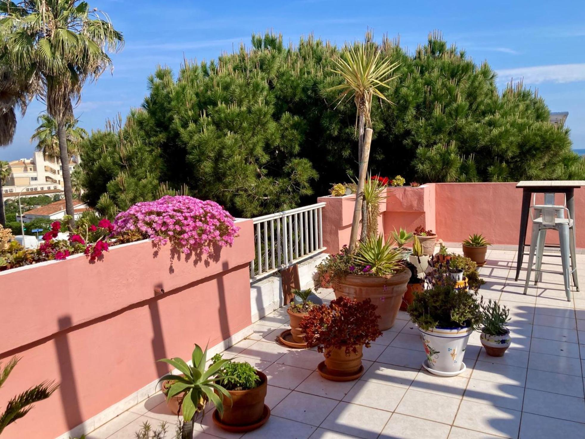 Atico Jazmines Denia Appartement Buitenkant foto